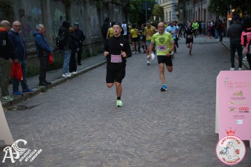 IMG_0808.jpg
