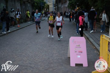 IMG_0884.jpg