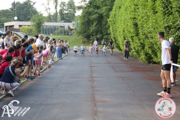 IMG_3155.jpg