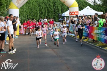 IMG_3217.jpg