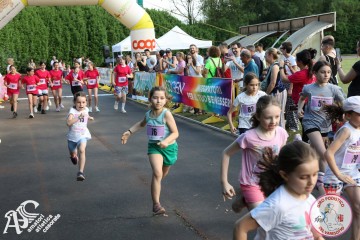 IMG_3222.jpg