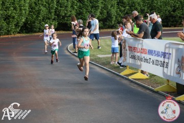 IMG_3251.jpg