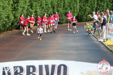 IMG_3268.jpg