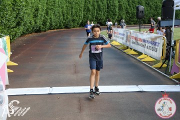 IMG_3313.jpg