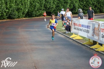 IMG_3320.jpg