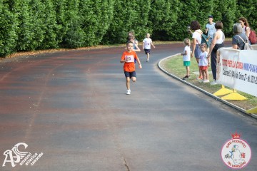 IMG_3322.jpg