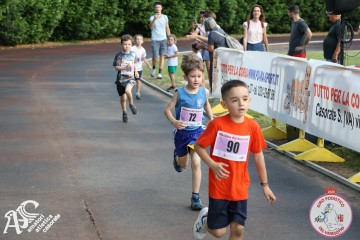 IMG_3325.jpg