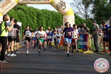 IMG_1464.jpg