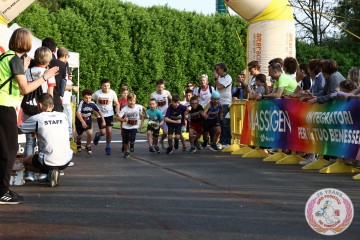 IMG_1527.jpg