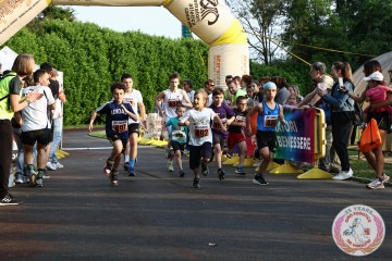 IMG_1531.jpg