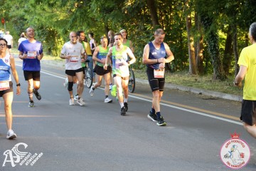 IMG_1537.jpg