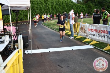 IMG_2629.jpg