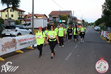 IMG_8384.jpg