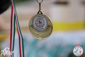 IMG_0020.jpg