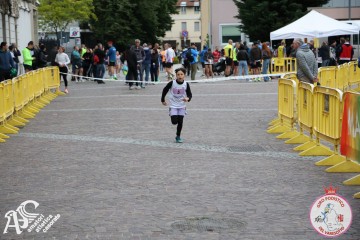 IMG_0094.jpg