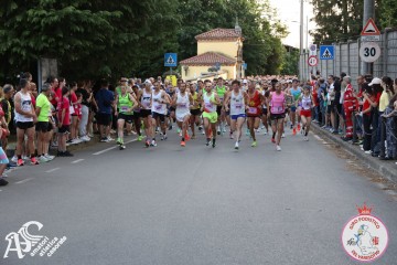 IMG_1649.jpg