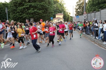 IMG_1791.jpg