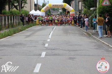 IMG_5367.jpg