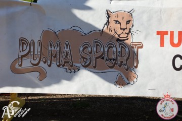 IMG_6399.jpg
