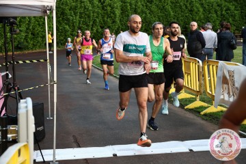 IMG_2246.jpg