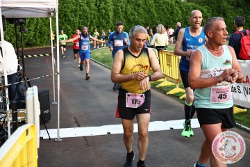 IMG_2356.jpg