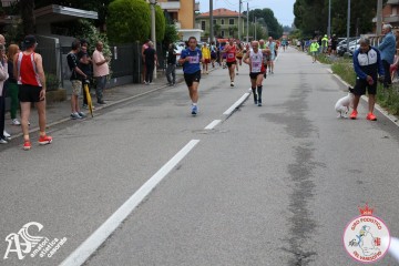 IMG_5987.jpg