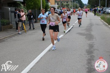 IMG_6040.jpg