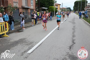 IMG_6065.jpg