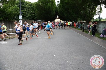 IMG_5233.jpg