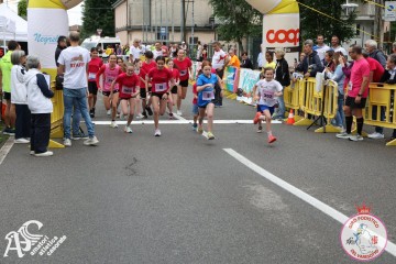 IMG_4919.jpg