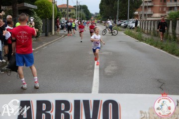 IMG_4941.jpg