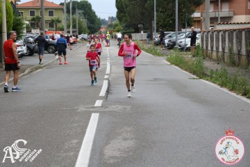 IMG_4954.jpg