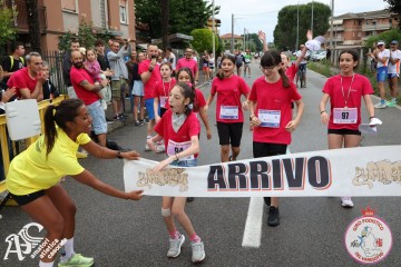 IMG_4972.jpg