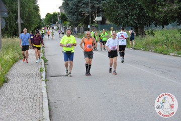 DSC_1504.jpg
