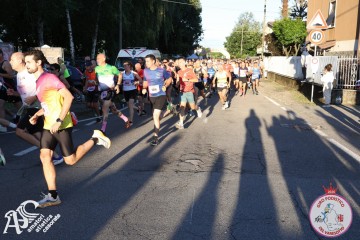 IMG_7031.jpg