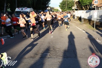 IMG_7134.jpg