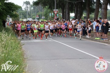 IMG_3533.jpg