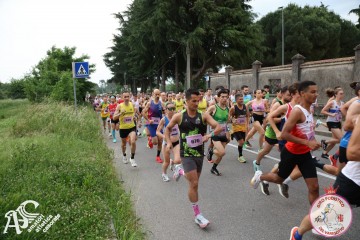 IMG_3554.jpg