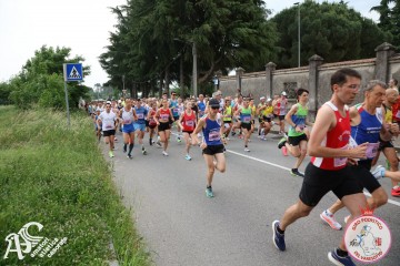 IMG_3561.jpg