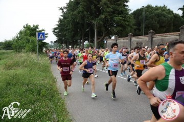 IMG_3584.jpg