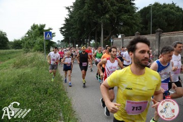 IMG_3595.jpg