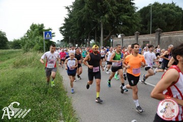 IMG_3596.jpg