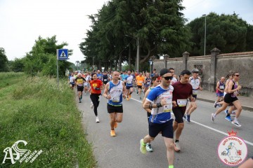 IMG_3631.jpg