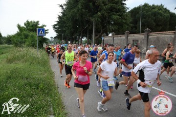 IMG_3641.jpg
