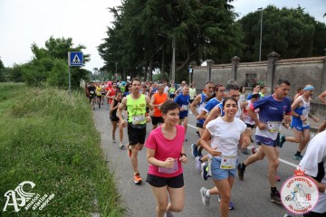 IMG_3642.jpg