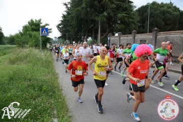 IMG_3650.jpg