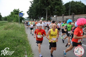 IMG_3651.jpg