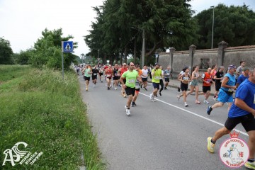 IMG_3674.jpg