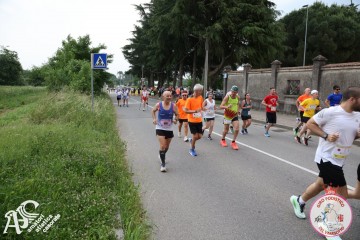 IMG_3686.jpg