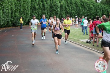 IMG_4201.jpg